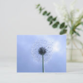 Makin' Wishes Briefkaart (Staand voorkant)