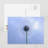 Makin' Wishes Briefkaart (Voorkant / Achterkant)