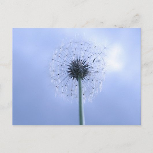 Makin' Wishes Briefkaart (Voorkant)