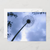 Makin' Wishes Briefkaart (Voorkant / Achterkant)