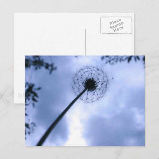 Makin' Wishes Briefkaart (Voorkant / Achterkant)