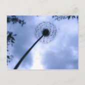 Makin' Wishes Briefkaart (Voorkant)