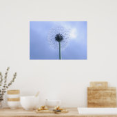 Makin' Wishes Poster (Keuken)