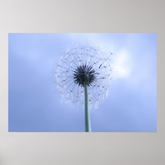 Makin' Wishes Poster (Voorkant)