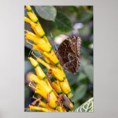 Making Contact Poster (Voorkant)