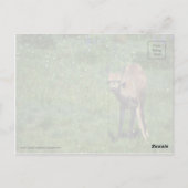 Making Face Briefkaart (Achterkant)