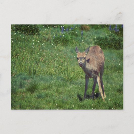 Making Face Briefkaart (Voorkant)