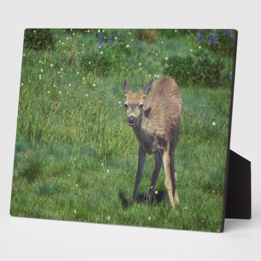 Making Face Fotoplaat (Zijkant)