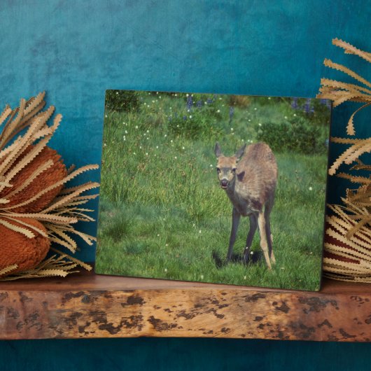 Making Face Fotoplaat (Zijkant)