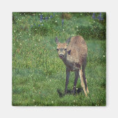 Making Face Magneet (Voorkant)