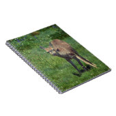 Making Face Notitieboek (Rechterzijde)