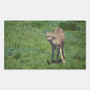 Making Face Rechthoekige Sticker