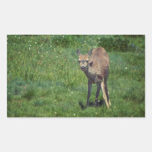 Making Face Rechthoekige Sticker (Voorkant)