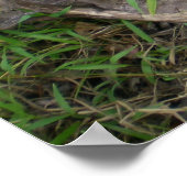 Making Friends Orangutan Wildlife Poster (Hoek)