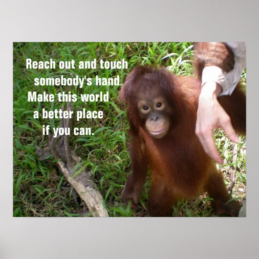 Making Friends Orangutan Wildlife Poster (Voorkant)