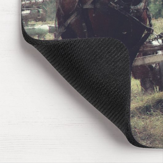 Making Hay Muismat (Hoek)