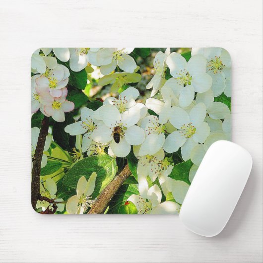 Making Honey Muismat (Met muis)