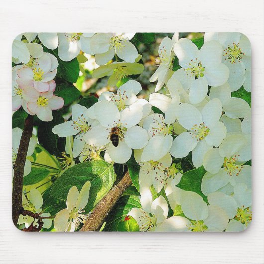 Making Honey Muismat (Voorkant)