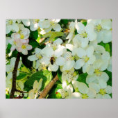 Making Honey Poster (Voorkant)