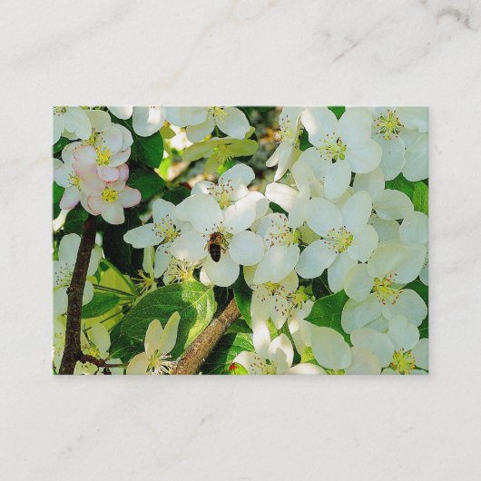 Making Honey Visitekaartje (Voorkant)