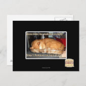 Making lasagna briefkaart (Voorkant / Achterkant)