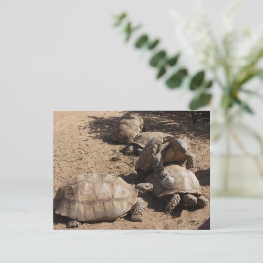 Making Love Briefkaart (Staand voorkant)