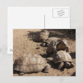 Making Love Briefkaart (Voorkant / Achterkant)