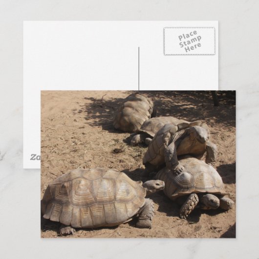 Making Love Briefkaart (Voorkant / Achterkant)