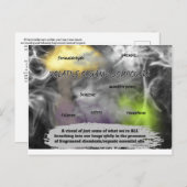 Making The Invisible Visible Briefkaart (Voorkant / Achterkant)