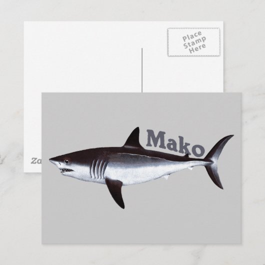 Mako Shark Briefkaart (Voorkant / Achterkant)