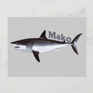 Mako Shark Briefkaart