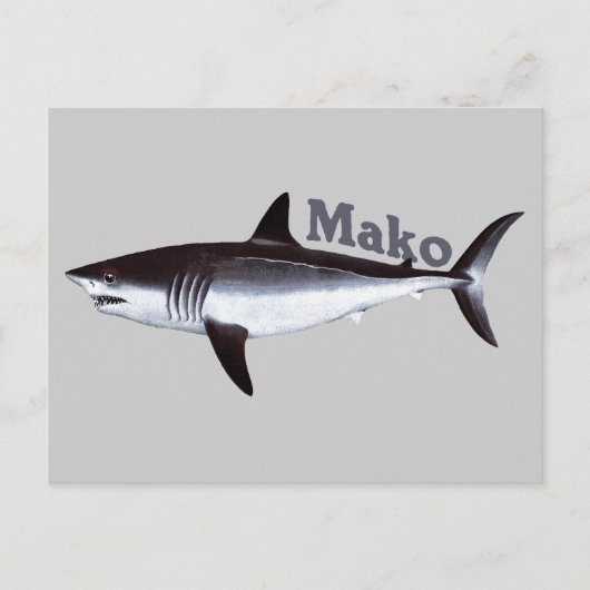 Mako Shark Briefkaart (Voorkant)