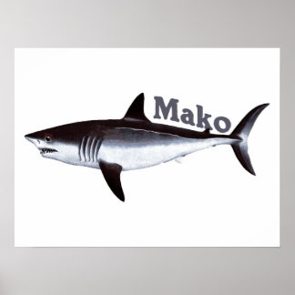 Mako Shark Poster