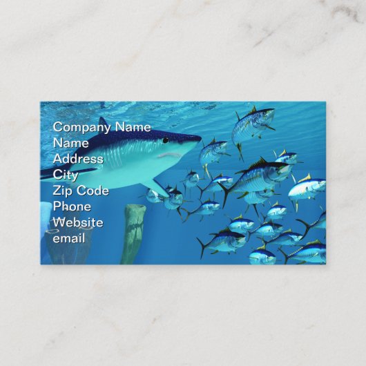 Makohaai na de geelvintonijn visitekaartje (Voorkant)