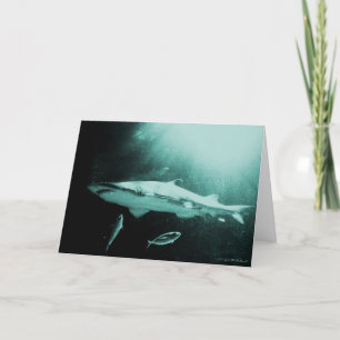 Makohaaienblanco kaart