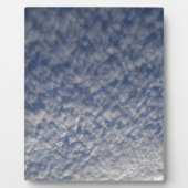 makreel fotoplaat (Voorkant)