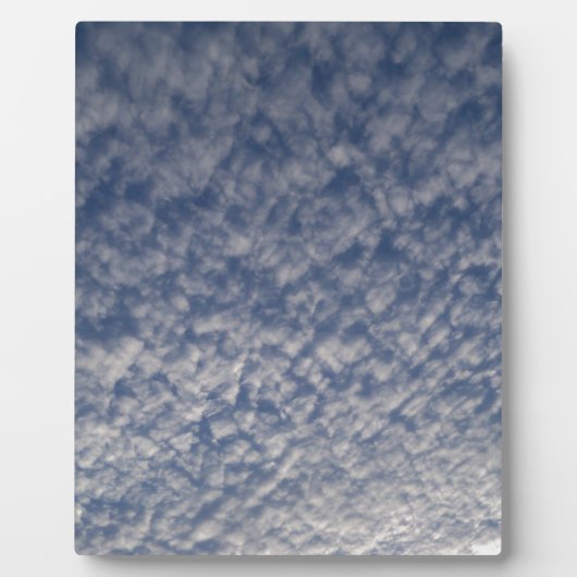 makreel fotoplaat (Voorkant)