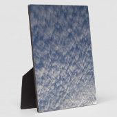 makreel fotoplaat (Zijkant)