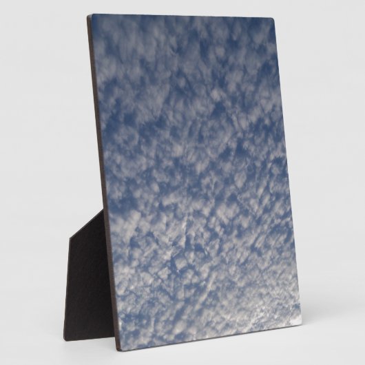 makreel fotoplaat (Zijkant)