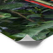 makreel poster (Hoek)