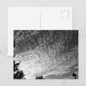 Makreel Sky: zwart-wit Briefkaart (Voorkant / Achterkant)