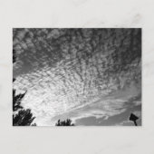 Makreel Sky: zwart-wit Briefkaart (Voorkant)