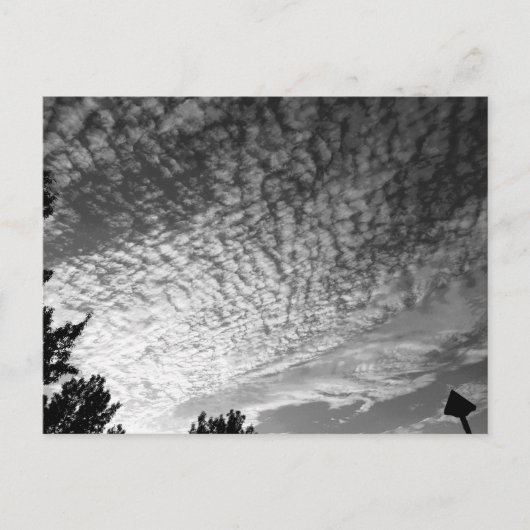 Makreel Sky: zwart-wit Briefkaart (Voorkant)