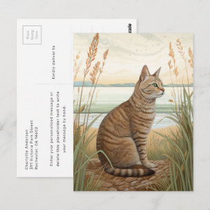 Makreel Tabby Kat Op De Strand Ansichtkaart Briefkaart