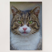 makreel tabby kat puzzel (Verticaal)