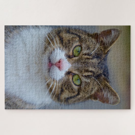 makreel tabby kattenpuzzel legpuzzel (Horizontaal)