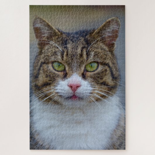 makreel tabby kattenpuzzel legpuzzel (Verticaal)
