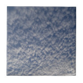 makreel tegeltje (Voorkant)