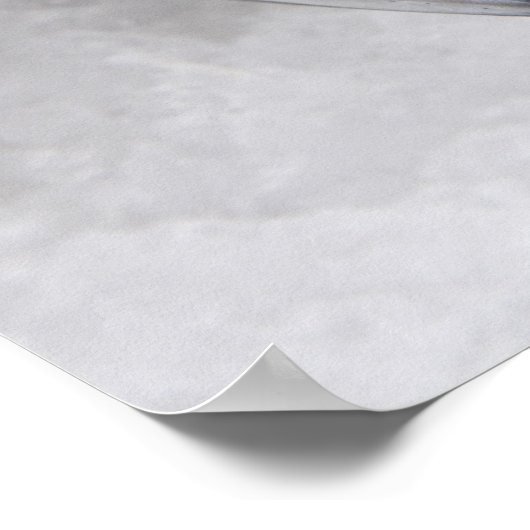 Makreel, verse vangst van de dag poster (Hoek)