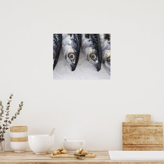 Makreel, verse vangst van de dag poster (Keuken)